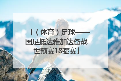 （体育）足球——国足抵达雅加达备战世预赛18强赛